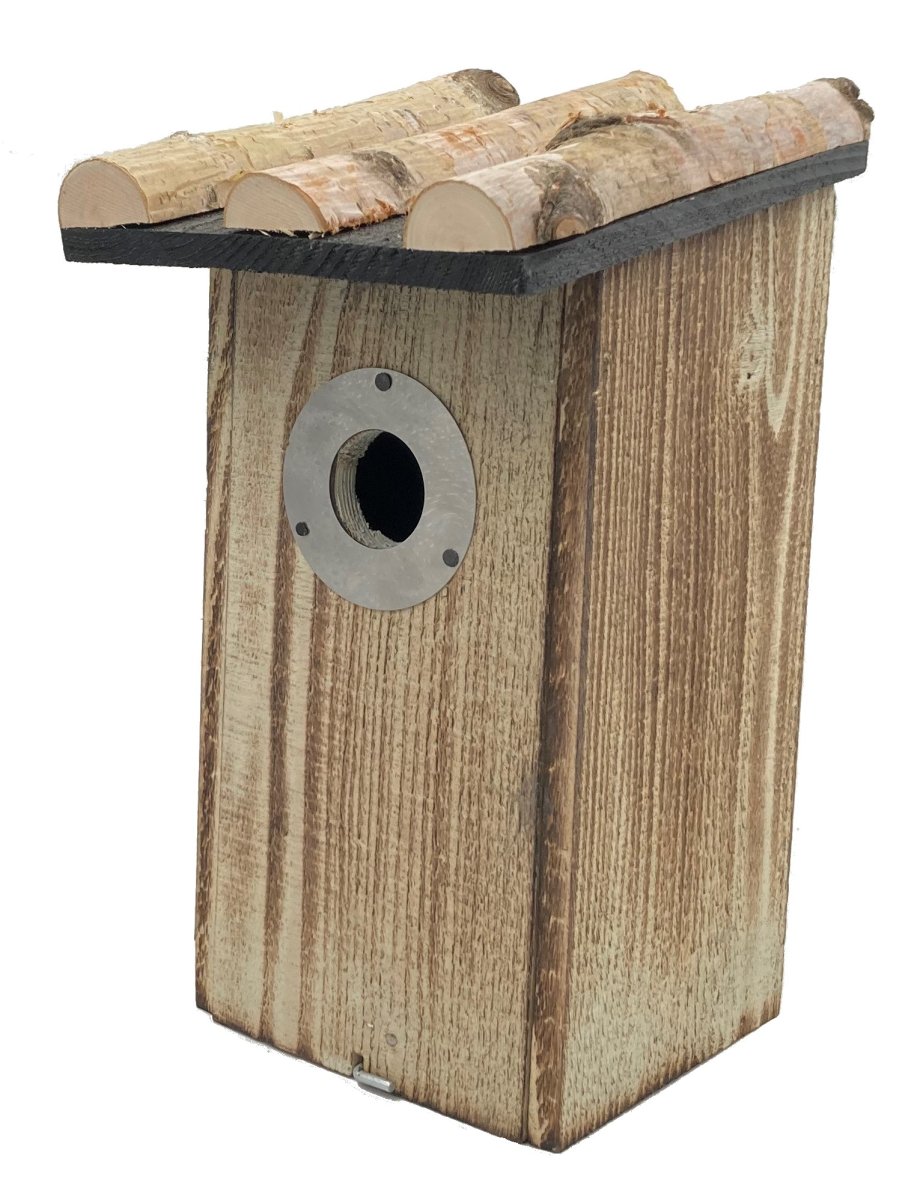 Vogelhuisje met beschermplaatje Berk 13 x 12 x 28 cm Nestkast - Afbeelding 3