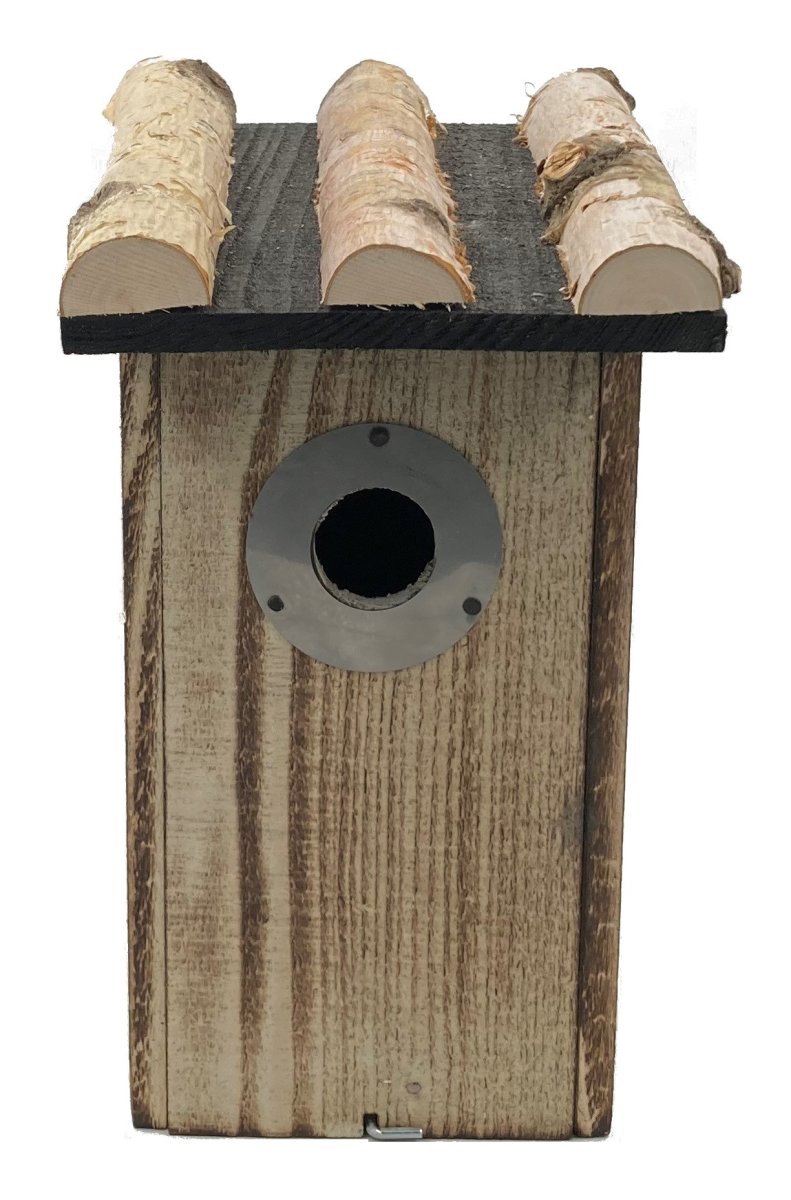 Vogelhuisje met beschermplaatje Berk 13 x 12 x 28 cm Nestkast - Afbeelding 5